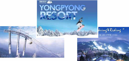 Yongpyong Ski Resort : Korea Ski Tour